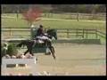 Cotopaxi Aquarius Grand Prix 1.30m - 1.40m