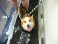 hurleys-hydrotherapy.html