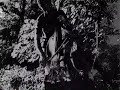 The Telescopes \"Flying (2005)\"