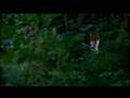 13日の金曜日PART2 FRIDAY THE 13TH PART 2 1981