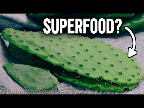 Frische Nopales zubereiten | Mexikanisches Kaktusgemüs ...