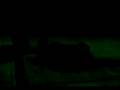 videos de tarzan destroyer