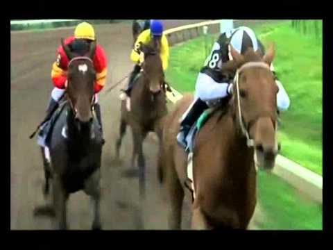 horse racing