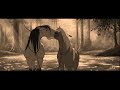 whiskey lullaby // spirit   rain