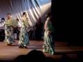 Apresentação de final de ano de uma escola de dança flamenca, dezembro2008.