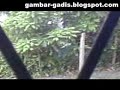 Budak Sekolah Terlampau Beromen
