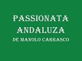 passionata andaluza   caballos bailando flamenco   la linea