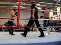 Nordic championships in C-shooto 2008