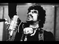 Raul Seixas - Metamorfose Ambulante (REMIX)