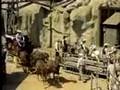 Conestoga Wagons Ride at Disneyland