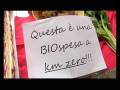 Lista Civica Beppe Grillo Bologna. Ecco il primo banchetto