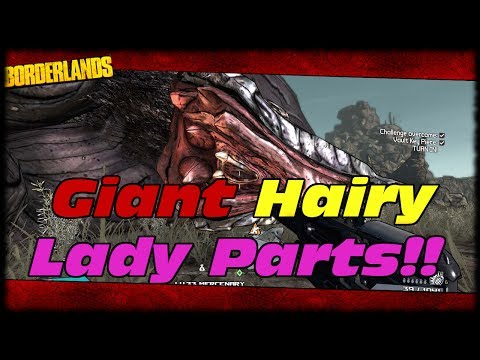 hairy clam
