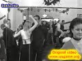 Click here to watch this video Funny Video Clips Funny Waxing Alternative Great Animal