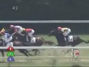 2008年7月13日 福島5R 障害未勝利 マイネルハーバード