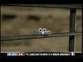 New Gieco Commercial - Money With Eyes 2