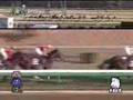 マツリダゴッホ・2007有馬記念