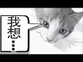 家肥貓1「うちのねこのプチ家出～友達に会いに」