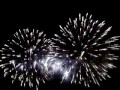 Battersea Park fireworks 3/11/2007 Battersea Park fireworks 3/11/2007