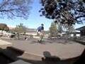 Skate-or-Die-with-St