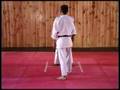 Restraint & Removal: The Aiki Concept