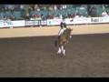 Night of the Horse 2008 - Steffen Peters Freestyle #2