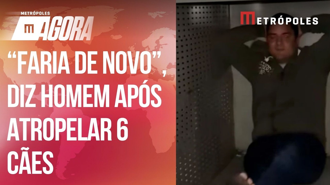 Homem atropela 6 cães, tenta fugir pelo aeroporto e diz: “Faria de novo”