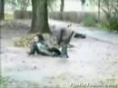 Drunk Accident