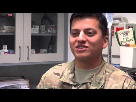 Veterinarians Serve Four Legged Warriors 0 Veterinarians Serve Four Legged Warriors