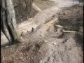 Salvati Sinaia- Ultima Ora
