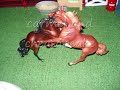 A tour of my Breyer stable- redneck woman