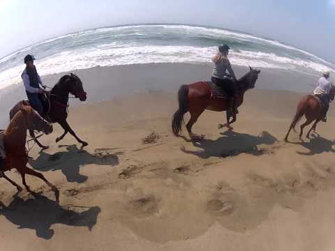 Jamie mcclintic - I created this video with the YouTube Video Editor (http://www.youtube.com/editor)