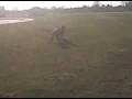 videos de Dogbook Movie: weapon of ass destruction