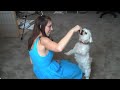 DOGGIESSS RT @jillhanner: feel=fell, if only I could type! I blame the migraine :( http://bit.ly/1S5zQv