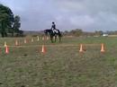 Eliza Timms-Pedley riding Tequilla Limelight