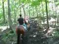 Horseback riding Sept 1, 08
