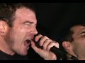 Gazte Topagunea 2006 - Kuraia Gazte Topagunea 2006 - Kuraia