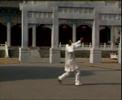chinese kungfu