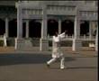 Ma Style Tongbei-Fanzi Quan Zhan Zhuang Fan