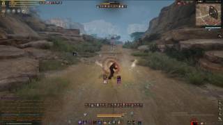 Ниндзя против лучницы / Ninja VS Ranger / Black Desert Ниндзя против лучницы / Ninja VS Ranger / Black Desert