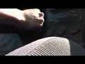 Subaru Impreza 2.5i Borla Headers driving around