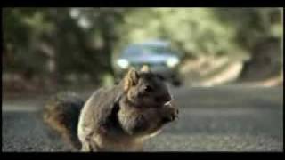 Bridgestone Screaming Squirrel Superbowl Commerical