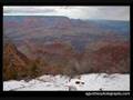 The Grand Canyon
