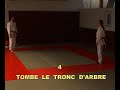 TAI JI koshiki no kata