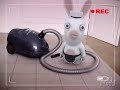 Bunnies very useful scientific facts - ALL + bonus -