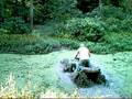 videos de 08 brute force 650i