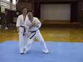 ZADO Goshin-jutsu Digest