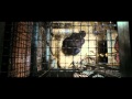 NEW Rise of the Planet of the Apes Trailer - In Theaters 8/5