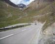 Opel Signum 2.0T Driving