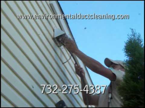 how to remove a bird nest from a dryer vent