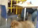 Man looks like his dog
